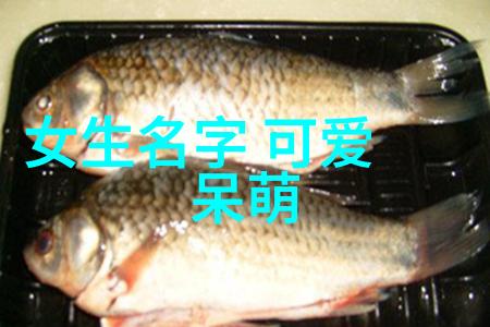 甜蜜画卷中的蛋糕奇迹