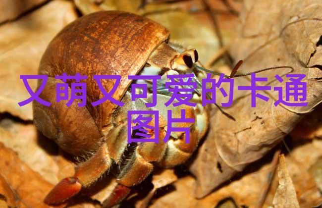 月光下的热浪泰国美女的双重魅力