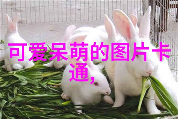 微信网名大全2020最新版冰山帅哥的隐秘花园藏龙卧虎的简短好听男生游戏昵称集锦