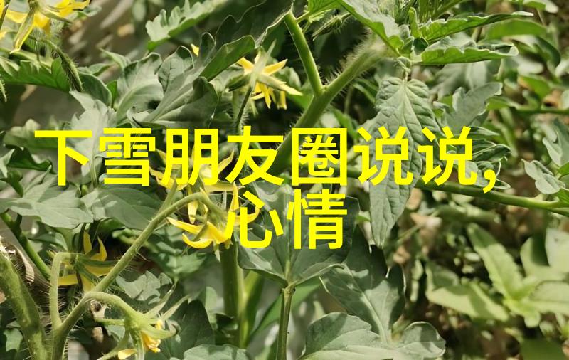 壮族的传统节日春节端午中秋冬至