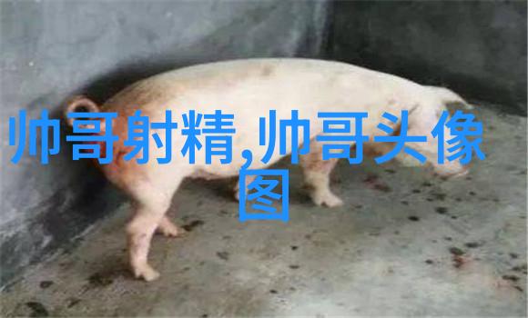 奇幻森林探险神秘的树木与闪耀的星光