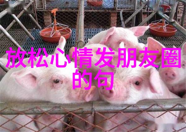 微信群聊软件高效沟通的工具
