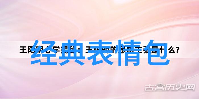字幕背后的秘密偷窥中文字幕的世界