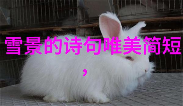 美女自拍 - 宠儿的镜头剖析网红美女自拍文化背后的深层含义