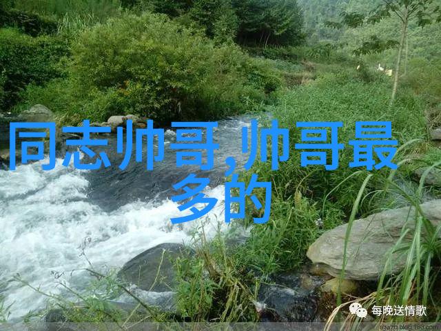 翱翔的灰袍