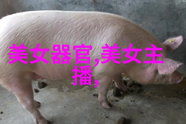 微信支付宝也要看好啦 北京一卡通App崛起的原因分析