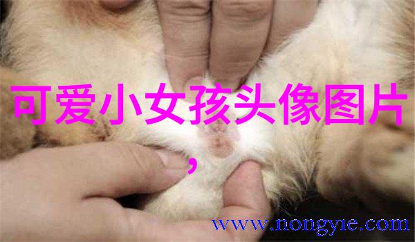 历史上的启示与现代生活的应用如何将四象生八卦运用在当代教育中