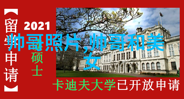 欧美狂野乱码一二三四区影音世界的混沌探索