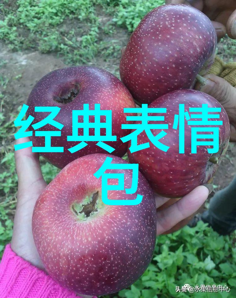 2023卡通图片可爱-新春喜庆2023年最萌卡通艺术展览