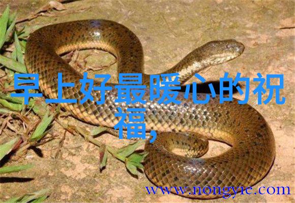 男生QQ网名霸道风采扣人心弦