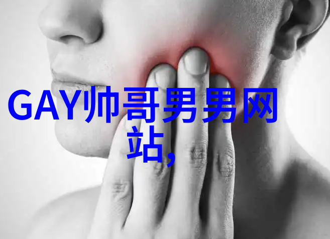 帅哥 - 岁月静好探索一代代帅哥的魅力与时尚