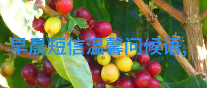 筱原凉子注册补办婚礼兑现披嫁衣承诺