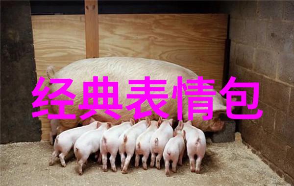 动画师如何塑造角色魅力
