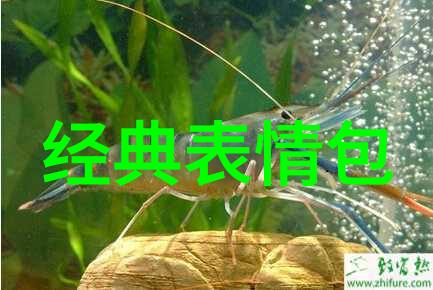 秋蝉之恋揭秘其温柔与坚韧的故事