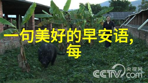 AI时代的助手最新一代AI如何提高文字识别的准确性