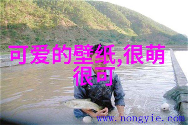 绚丽舞姿热情的节奏与美女的魅力