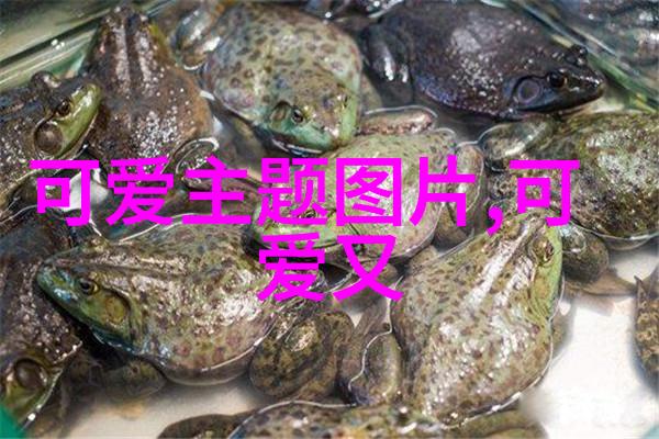 美女与野兽的全部图片咱们来看看这对热恋中的美女与野兽吧