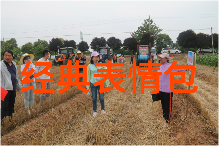 如何用心情语录来点亮人生的灯塔