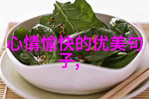 隐私保护专家如何在使用免费聊天软件时保持安全性