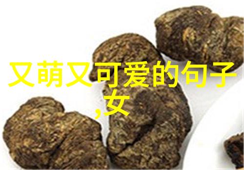 聚焦网络潮流2023年最火的微信小圈子名字