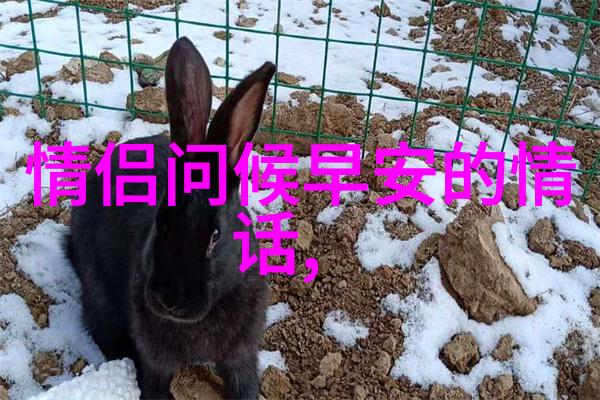 少女的秘密画卷她眼中藏着什么故事
