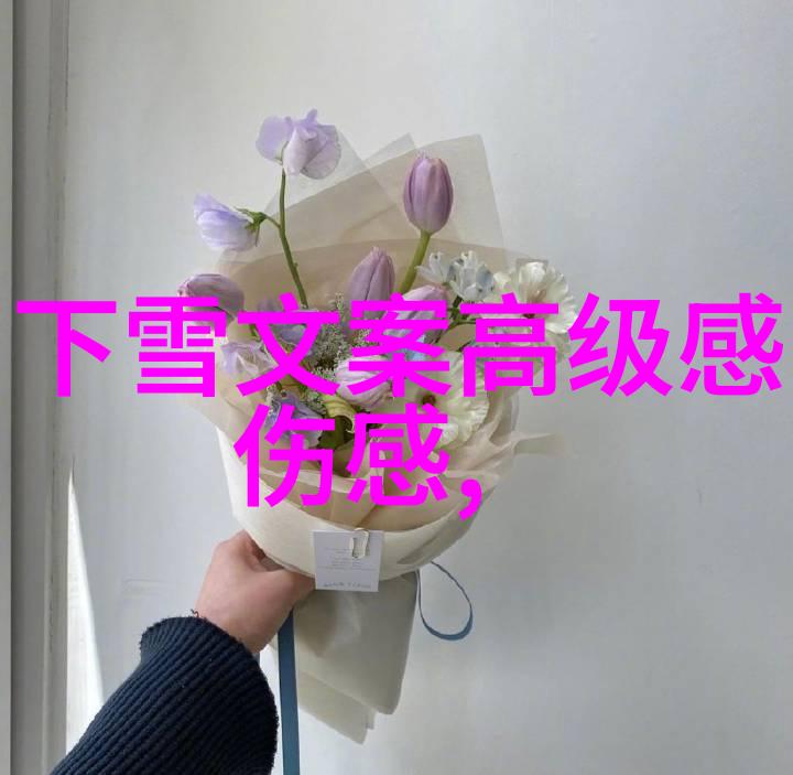 动感笔触揭秘卡通世界的无限可能