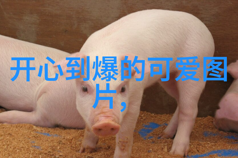 易阳写真摄影艺术中的自然风光捕捉