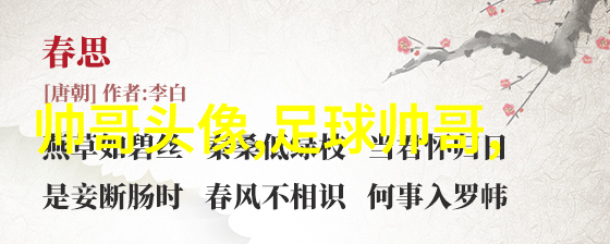 简化与规范汉字演变中的第二个过程