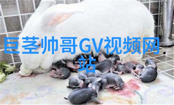 在除夕夜你通常会做些什么来迎接新年