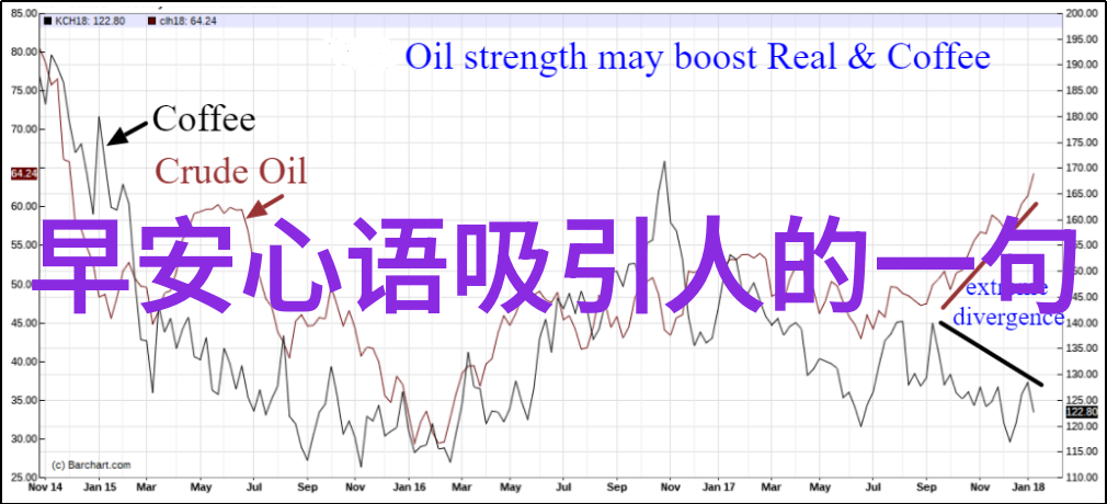 请问在国际上是否有类似于中国元宵節的大型夜市活动如果有请描述一下