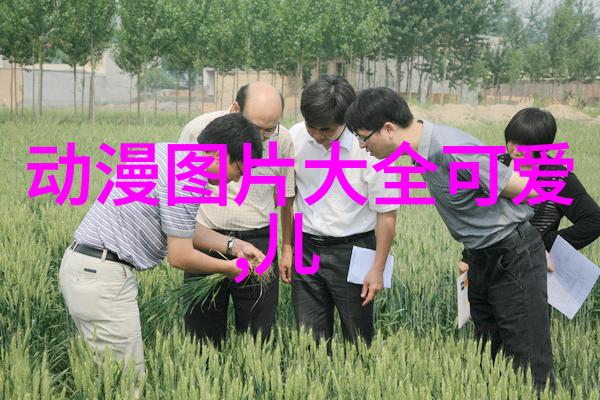 滴滴出行用户群聊风波武汉市民共享交通经验的社交网络争议
