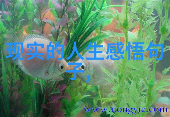 中国四大传统节日中的美食风采展现