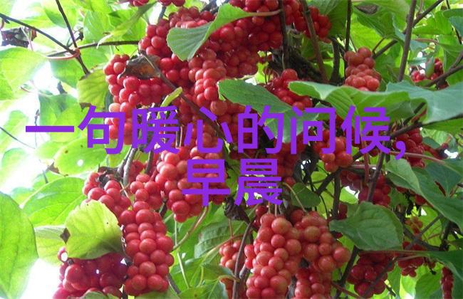 东风夜放花千树更吹落星如雨-夜幕下的盛宴解读东风夜放花千树更吹落星如雨的诗意