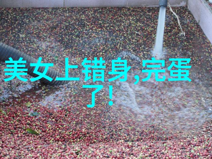 俄罗斯古典芭蕾舞中的一抹色彩那些令人难忘的舞蹈家们