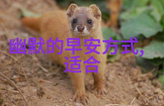 心情低落如何调整心理调适技巧