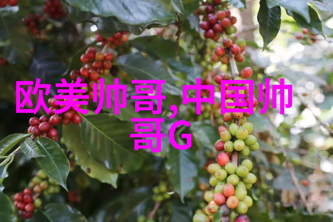 女明星我亲眼见证的那些闪耀瞬间