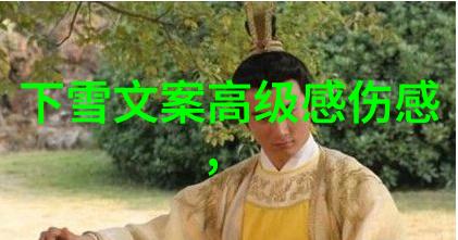 电影巨星的魅力与光芒追逐最具吸引力的男神形象