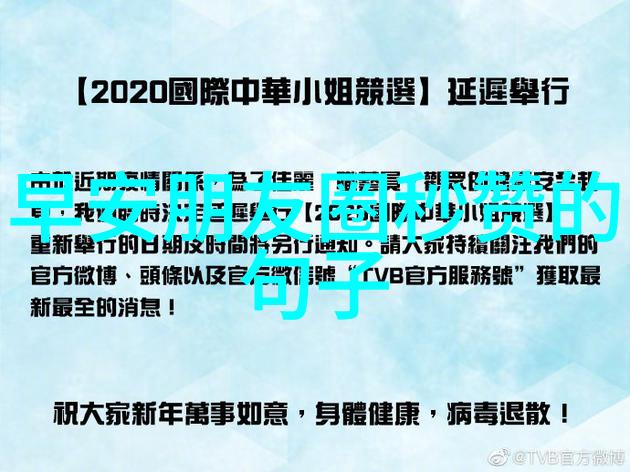 衡水校长称已注意到网红胡桃佳子LJ探秘她如何成为热门人物并走红抖音