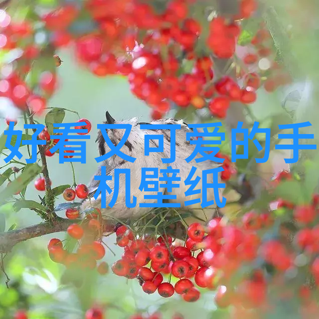 韩国电影片-梦想成真的幕后故事揭秘韩国影坛的奇迹
