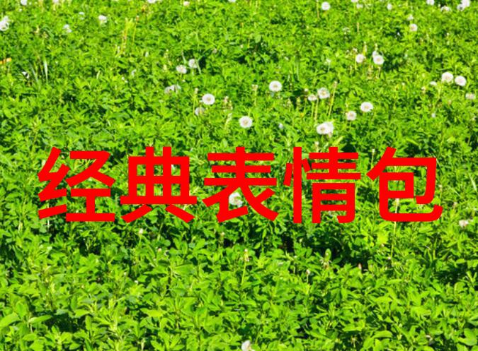 2021年最火网名图片分析好听古风游戏ID排行榜