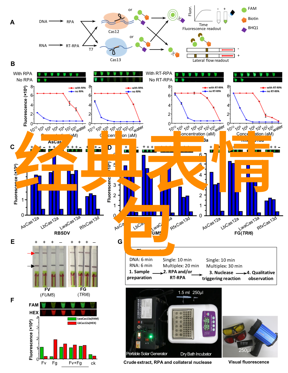 杨洋电视剧妻子的选择今日开播孙莉张瑶王真儿马吟吟聚焦女性人生抉择