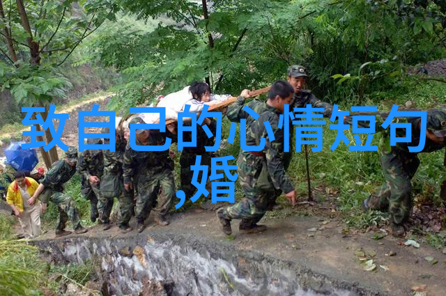 栀子花开2017电视剧中的罗文姬81岁高龄依旧如同栀子花般不息地绽放她演过的每一部作品都是精心培育的