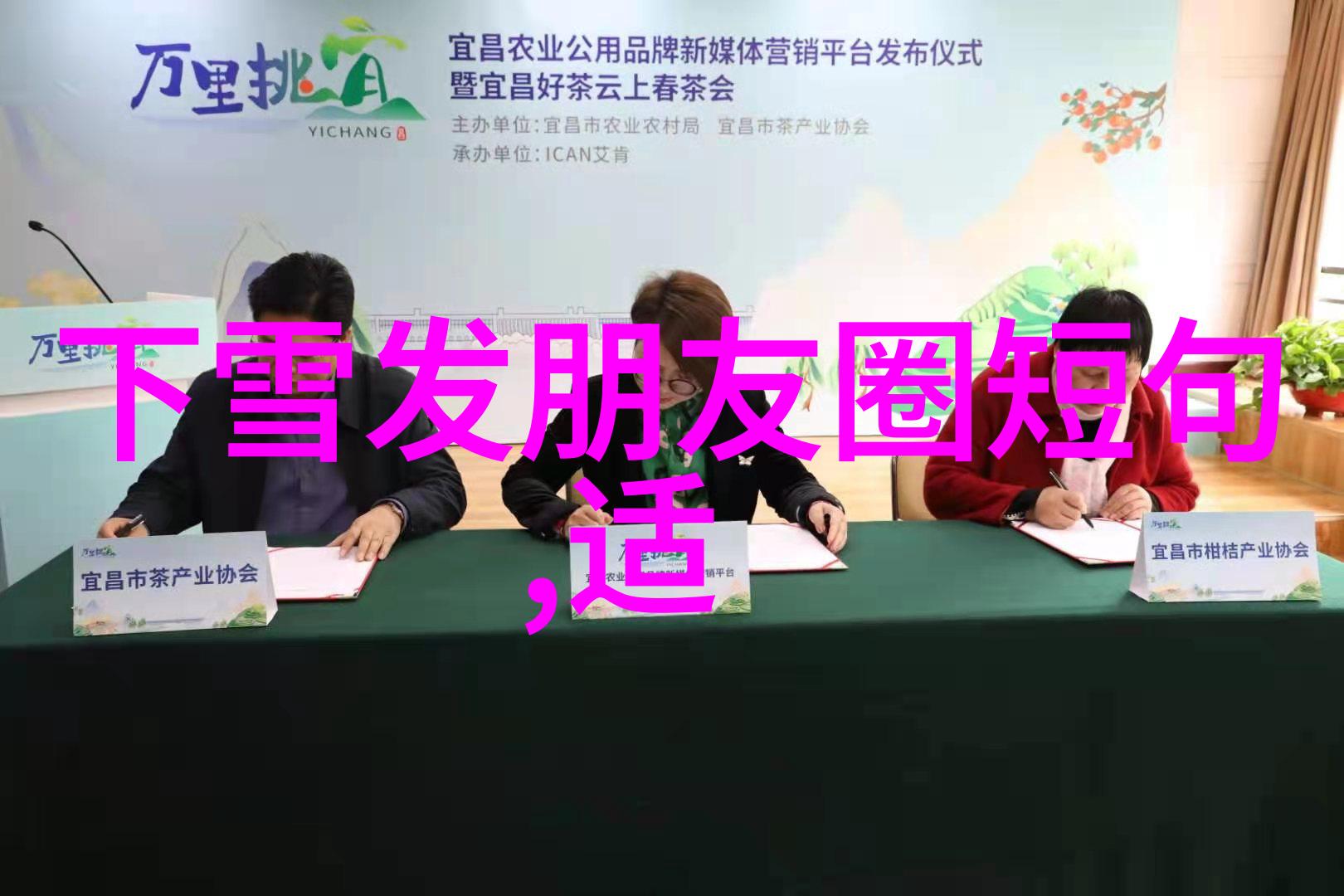 网红比明星的收入还多吗