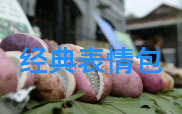 古文字识别扫描揭秘我家老宅遗失的宝藏字迹