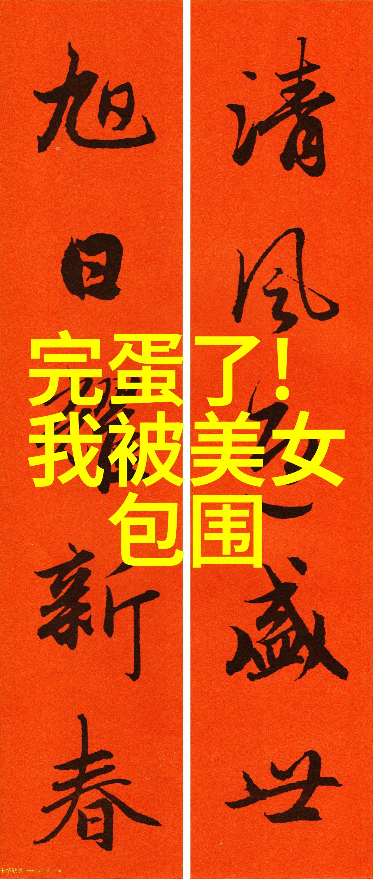 探索当下今天是哪个节日