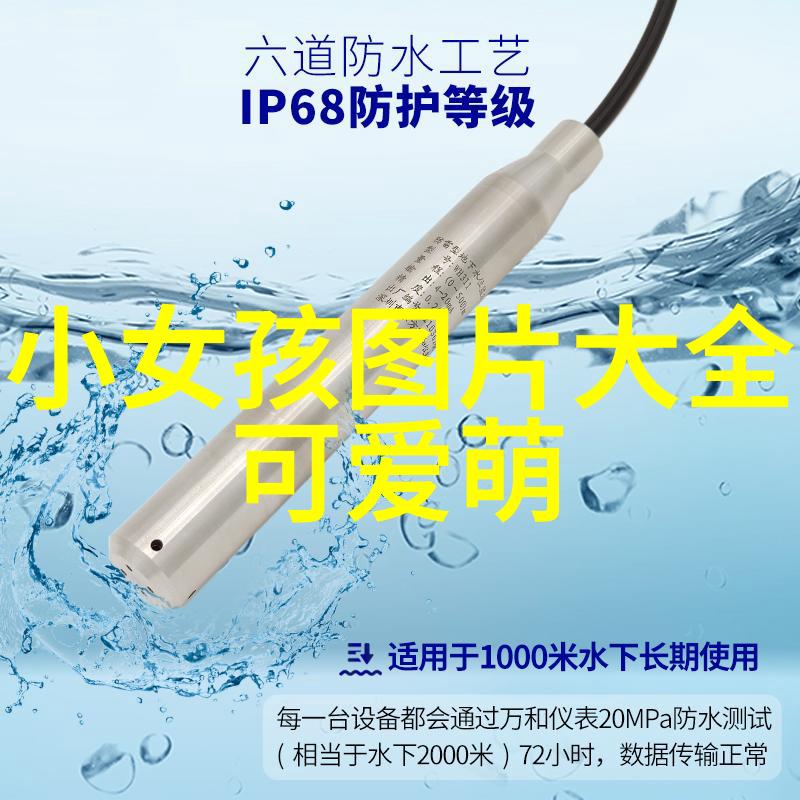 月光下的守望者星辰的孤独之声
