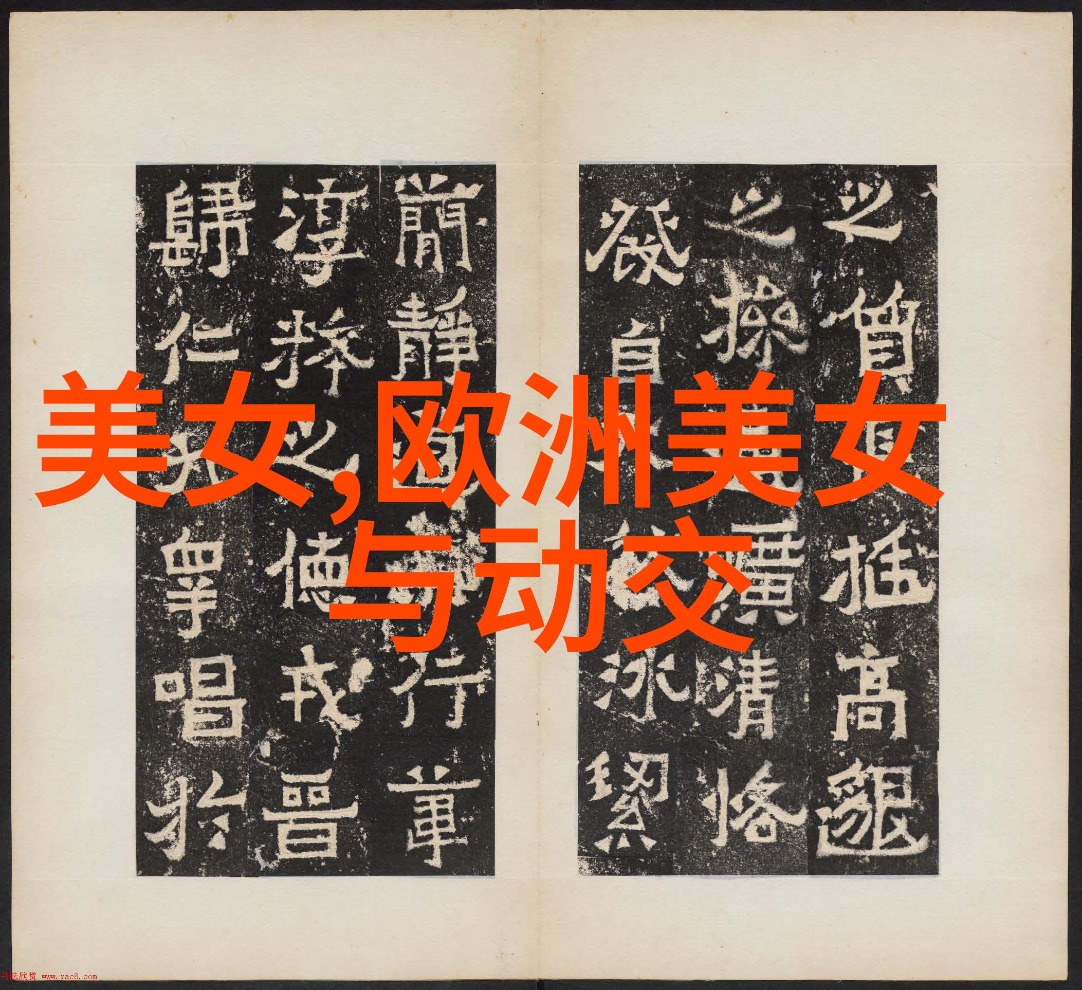 又霸气又高冷的网名避免撞名之谜解锁