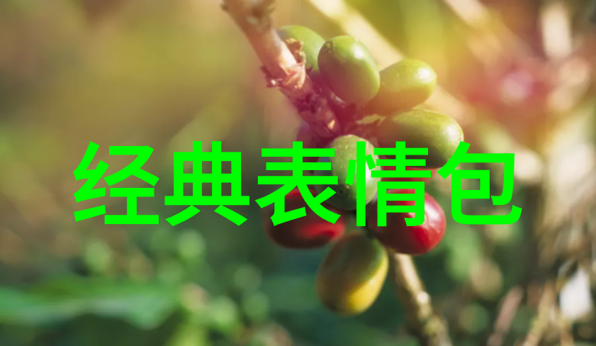 日本AV明星光影中的艺术家们