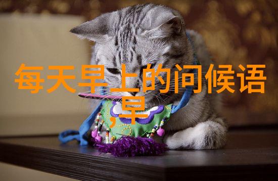 心绪万千情感的交响曲