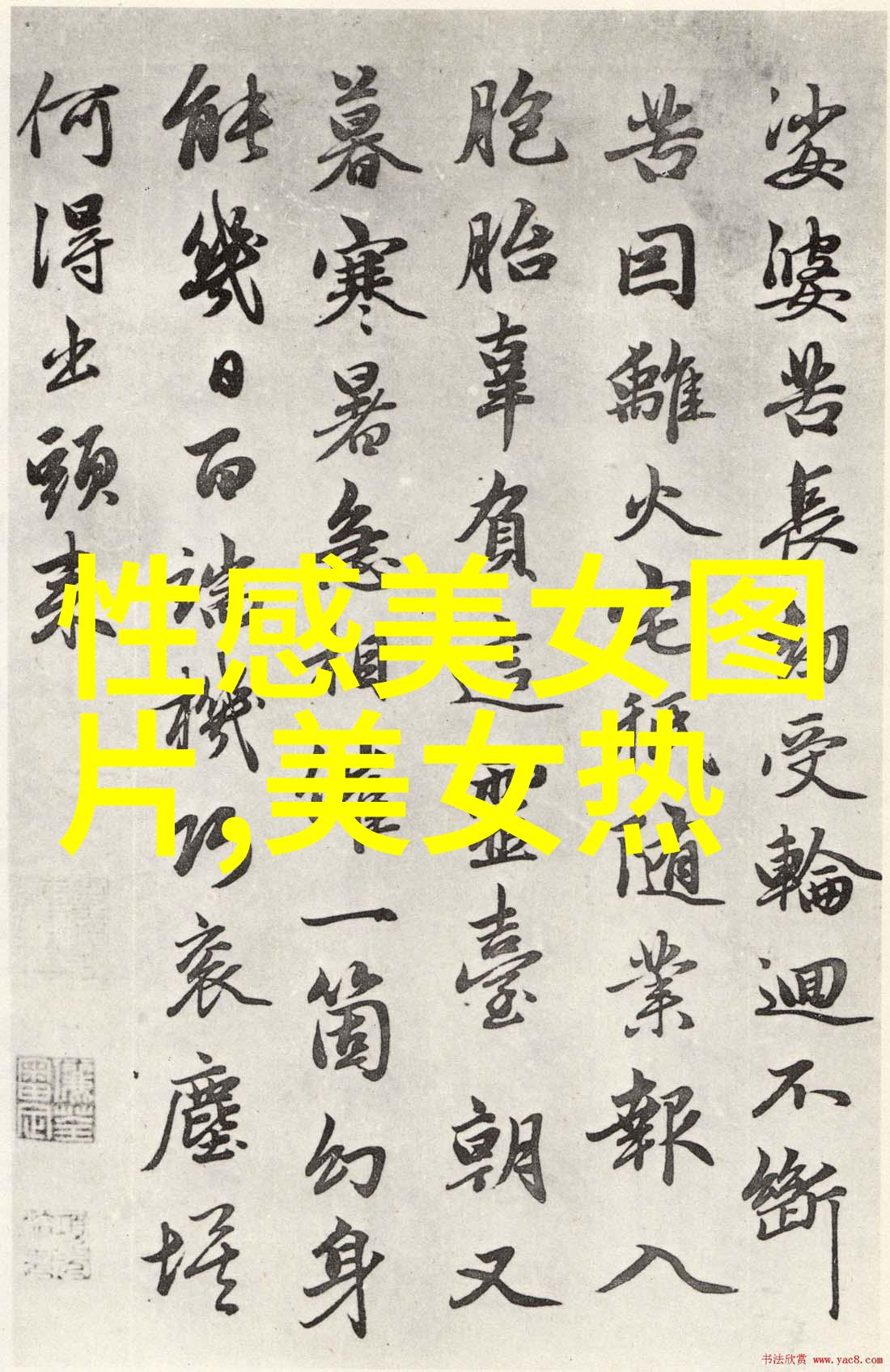 探秘帅哥省份揭秘哪个地方最有魅力